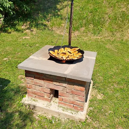 Vadrozsa Nyaralo